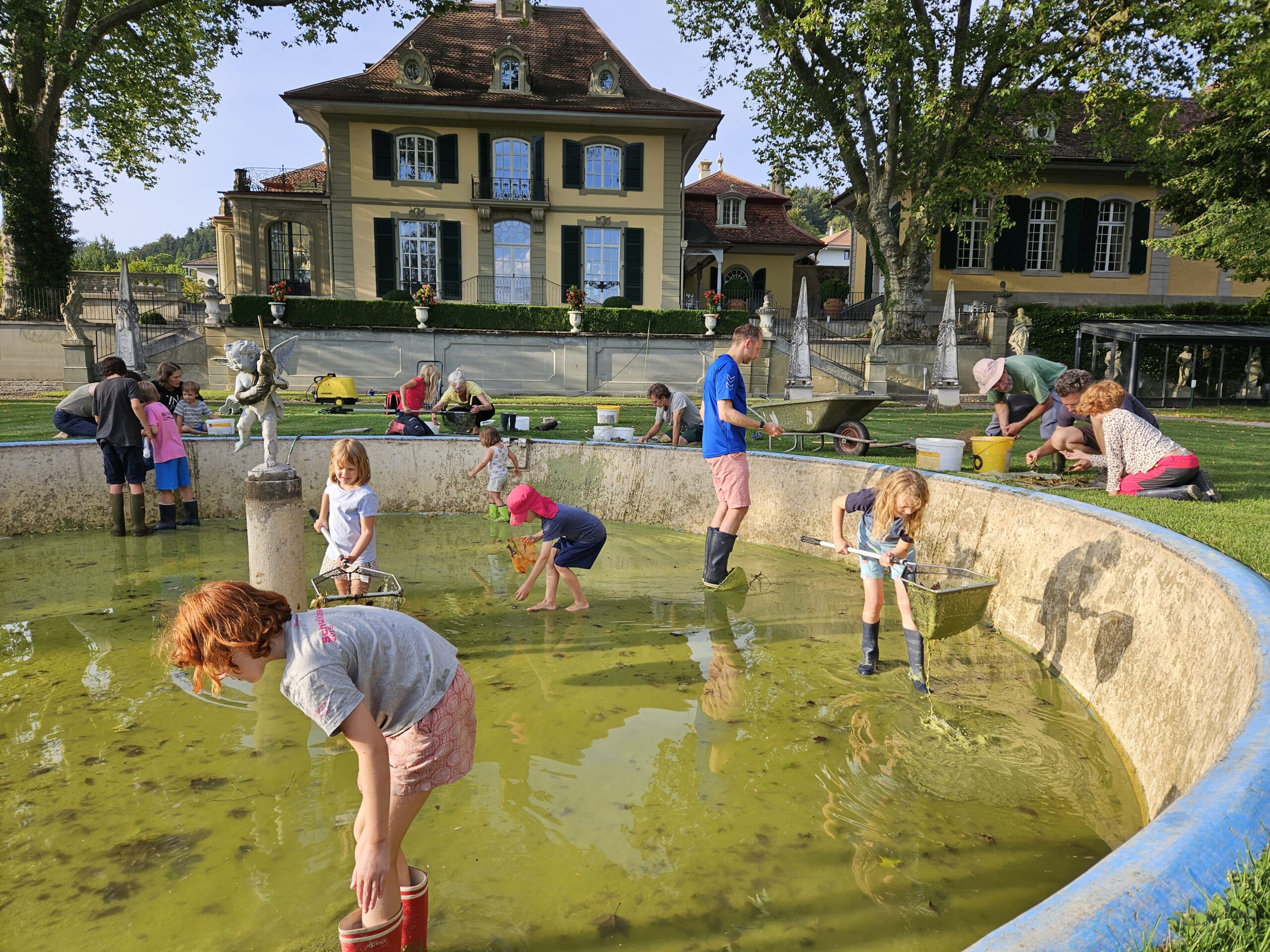 Glögglifrösche im Hofgut gerettet