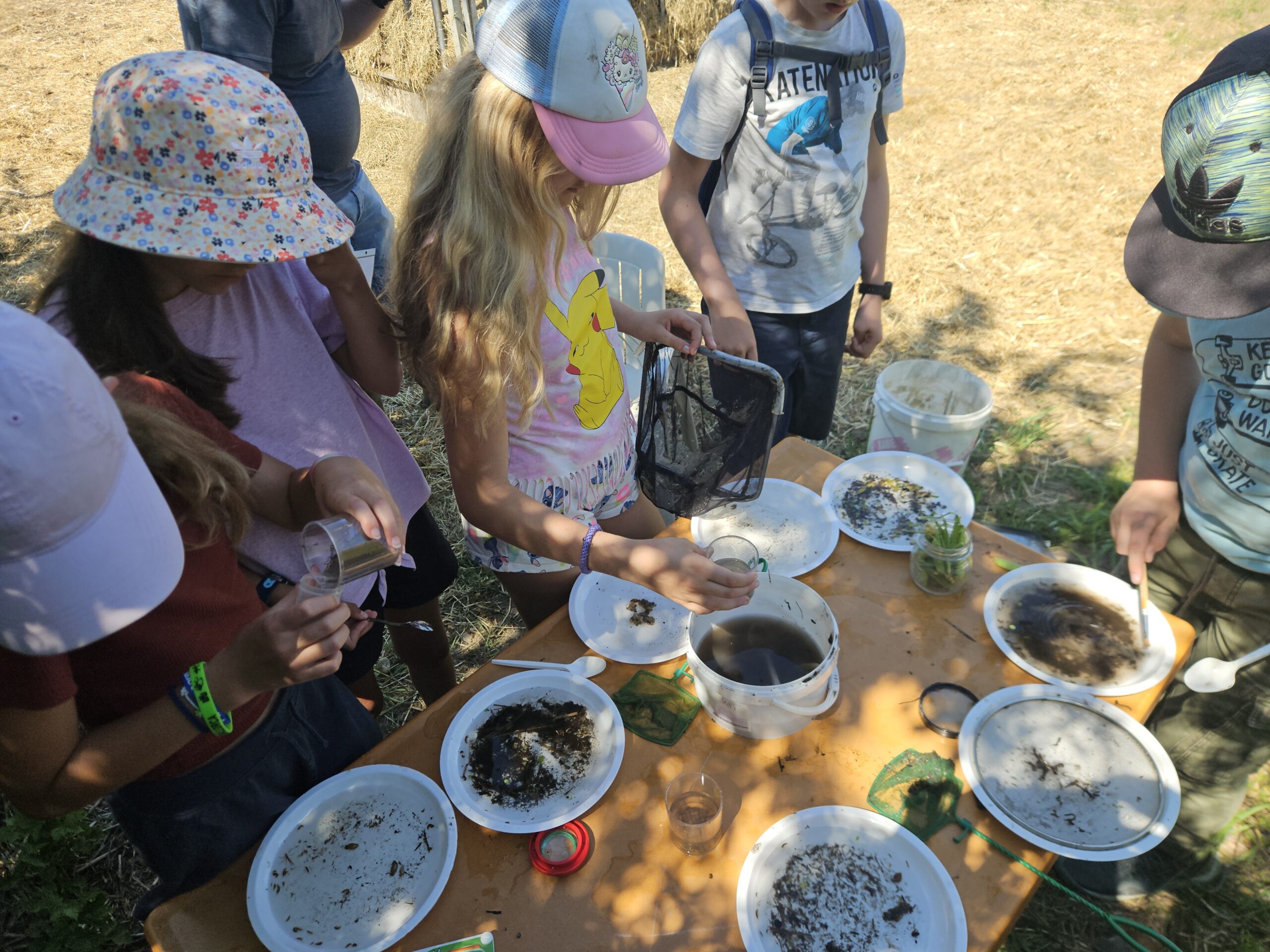 Begeisterte Schüler am Lötschenbach